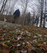 Foto utilizatorului Andy96