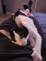 Foto pengguna patryknuckowski98