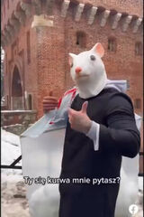 Foto utilizatorului Kamil9371