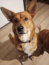 Zdjęcie użytkownika flakpawel927