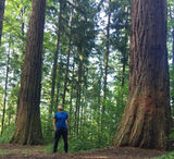 Zdjęcie użytkownika OdwaznyPierun