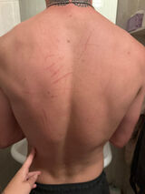 Zdjęcie użytkownika Seb3kChlebek