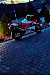 Фотография пользователя bossboss999