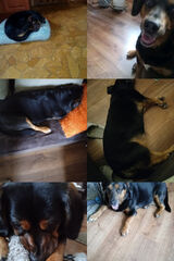 Photos wojaczekmonika48