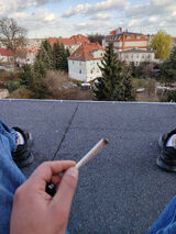 Foto utilizatorului dominik199605