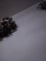 Zdjęcie użytkownika pawel1165