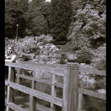 Foto utilizatorului Monika369