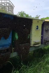 Zdjęcie użytkownika bj794448