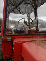 Foto utilizatorului Bajka123