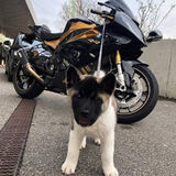 Zdjęcie użytkownika aawe40342006