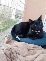 Фотография пользователя DawidDargon