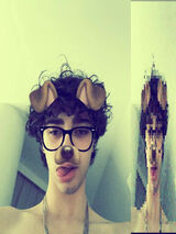 Benutzerfoto vecipol215