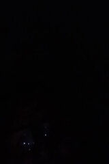 Photos karcsierika55