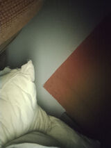 Фотография пользователя brackobartlomiej4