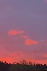 Foto pengguna Mat35i