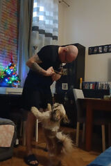 Фотография пользователя JakubLachacz