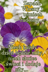 Zdjęcie użytkownika Anna2301