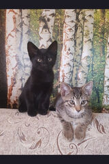 Фотография пользователя noga404