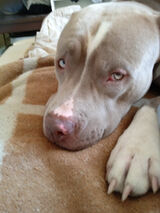 Photos mackiewiczsebast79