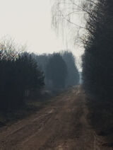 Foto pengguna aleksanderchrost55