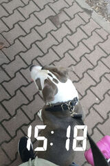 Photos dominikglowacz123