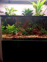 Foto utilizatorului kill1976