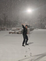 Fotos marekjordanholand