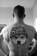 Фото користувача wisniaofficall