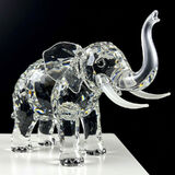 Zdjęcie użytkownika Tomasz0007