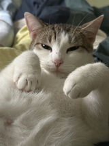 Zdjęcie użytkownika WladczyniLasu