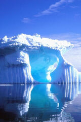 Benutzerfoto tila55482