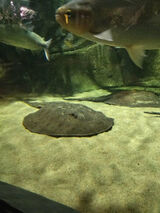 Zdjęcie użytkownika lukas112313333