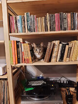 Zdjęcie użytkownika bzdrg