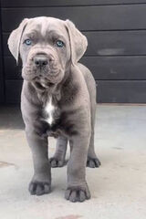 Zdjęcie użytkownika bartekdupik