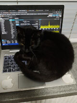 Zdjęcie użytkownika marcin1875