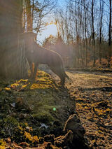 Benutzerfoto KiziaChuda