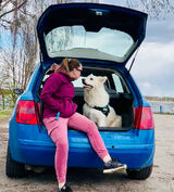 Foto utilizatorului Sonius