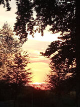 Foto utilizatorului BEAR2026