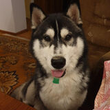 Foto pengguna Lucyfer49