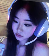 Foto utilizatorului NikolaSzwarc