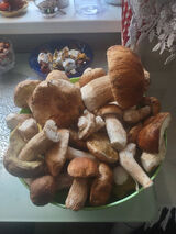 Zdjęcie użytkownika irminapaszkowska63