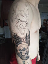 Foto utilizatorului danielkiedrowski10