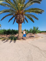 Zdjęcie użytkownika kamilprass26