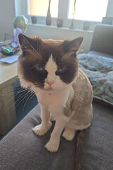 Foto utilizatorului marekjordanholand