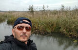 Fotos Sylo80