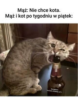 Benutzerfoto Mlody0517