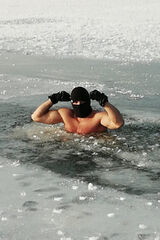 Fotos Swiatjestnasz100