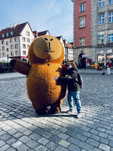 Foto utilizatorului hjfyn6bjhx