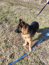 Photos Dawidek198929