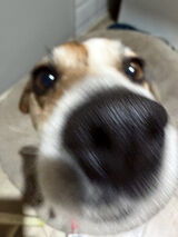 Zdjęcie użytkownika w7bdc64dwn